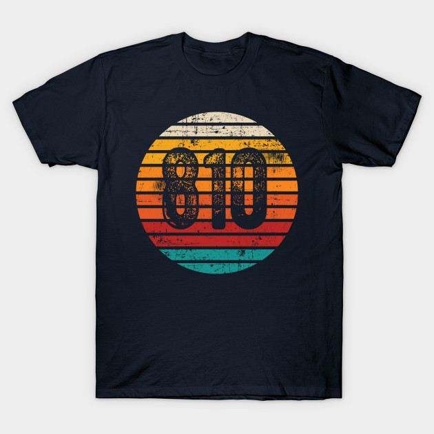 distressed-vintage-sunset-810-area-code-810-area-code-t-shirt